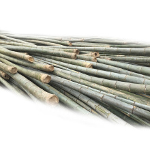 Matériau de bambou brut d&#39;agarbatti prix bon marché en vrac matériau de bambou brut Bambou brut